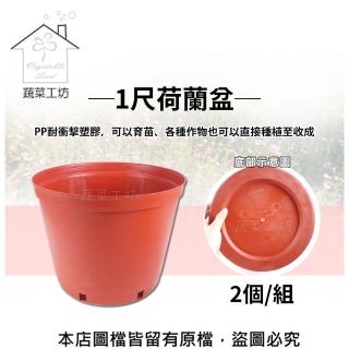 【蔬菜工坊005-C18-2】1尺荷蘭盆2個/組(栽培盆)