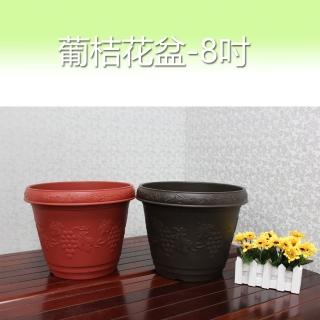 【生活King】葡桔花盆/花槽/盆栽-8吋(4入組)