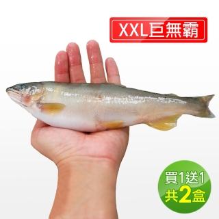 【直播限時搶X買一送一】宜蘭特選巨無霸XXL爆卵香魚1盒(1kg/盒-再加碼1盒.共2盒)