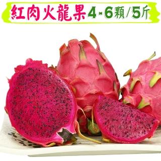 【愛蜜果】紅肉火龍果4-6入禮盒(約5斤/盒)
