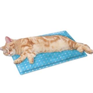 【Marukan】貓用保冷涼感軟墊(CT-187)