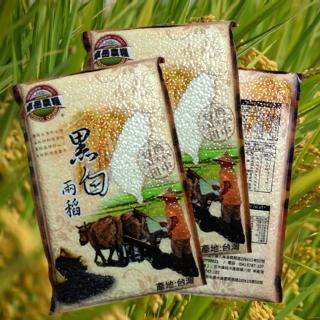 田中小農契作 正宗純正台梗九號米