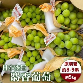 【WANG 蔬果-中秋禮盒】日本長野縣溫室麝香葡萄(原裝8-10串/約5kg)