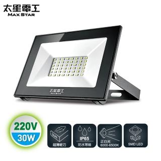 【太星電工】30W LED防水投射燈/白光(220V)