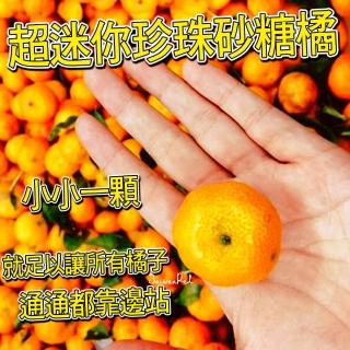 【台灣紅】迷你珍珠砂糖橘-預購(5斤裝/箱)