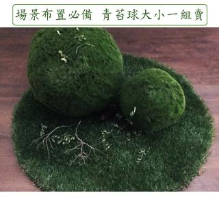 【BonBon naturel】高仿真青苔球組/大小各一(青苔球)