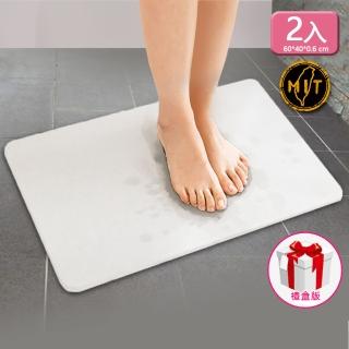 6221670 OL 【森呼吸矽藻土】新一代超薄吸水踏墊-礦灰禮盒版XL-2片入(吸水 踏墊 超薄 台灣製 珪藻土)