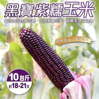 【果農直配】黑寶紫糯米玉米(10斤±10%)