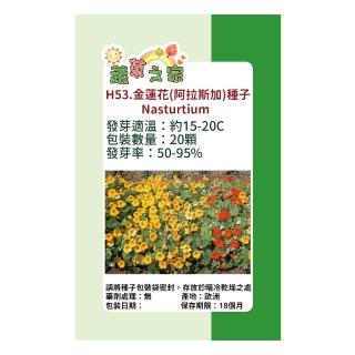 【蔬菜工坊】H53.金蓮花種子20顆(阿拉斯加)