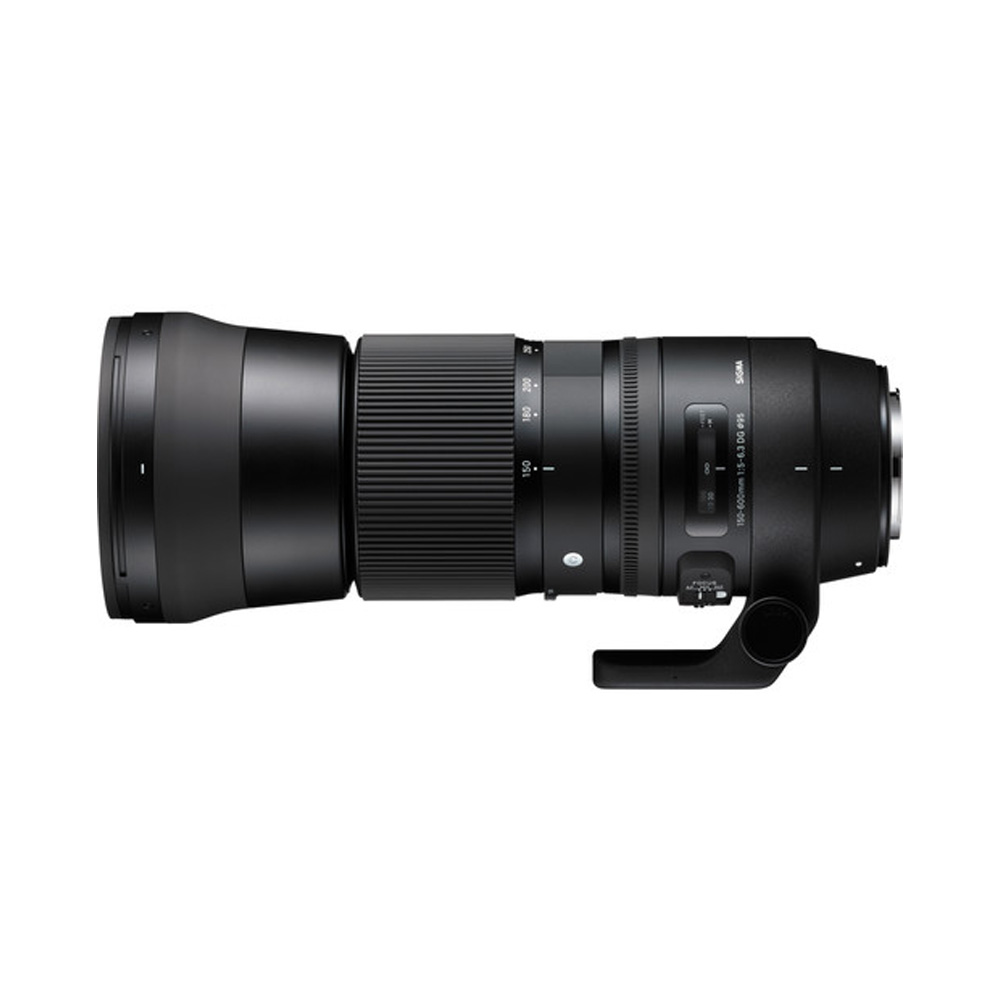 【Sigma】150-600mm F5-6.3 DG OS HSM Contemporary 遠攝變焦