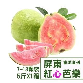 【產地直送】屏東紅心芭樂5台斤X1箱(7-13顆/箱)