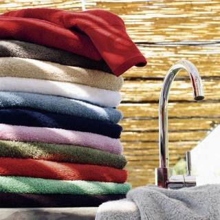 【皇室羽毛工房】法國LACOSTE-CROCODILE浴巾(浴巾)