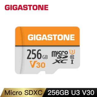 【Gigastone 立達國際】256GB micro SDXC UHS-Ⅰ U3 記憶卡(256G A1V30 高速記憶卡)