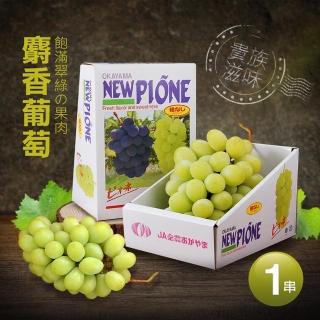 【優鮮配-中秋禮盒】日本空運超甜無籽大麝香葡萄禮盒1串(625g/串 水果禮盒)