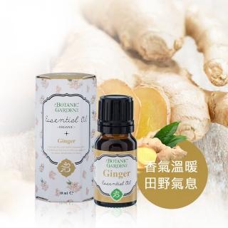 【寶草園】生薑精油10ml(單方純精油 Zingiber Officinale Roscoe)