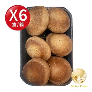 【Global Fresh-盛花園】肉厚鮮嫩埔里鮮香菇(150g/盒  6盒/箱)