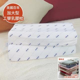 【送枕套2入】Dunlopillo 英國百年品牌鄧祿普加大型工學防蹣乳膠枕-一入(40x70cm)