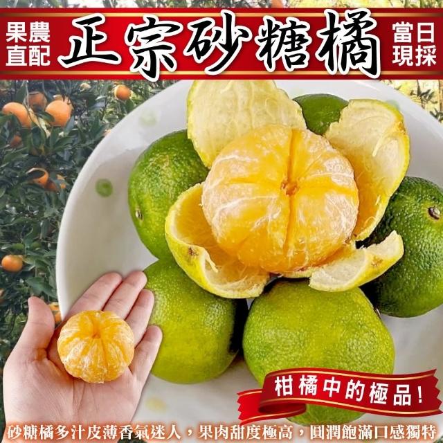 果農直配-珍珠砂糖橘2箱共10斤
