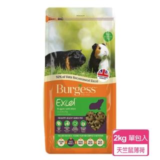 【Burgess英國伯爵】天竺鼠飼料-薄荷鮮味 2KG-單包入