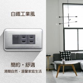 【朝日電工】工業風白鐵組合式單開關雙插座組(復古開關插座組)