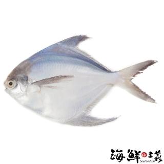 【海鮮主義】年節必備白鯧魚(500g/隻)