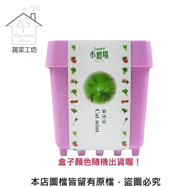 【蔬菜工坊】iPlant小農場系列-貓薄荷