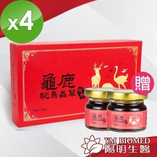 【YM BIOMED 陽明生醫】龜鹿鴕鳥蟲草原膠10瓶x4盒(加贈2瓶)