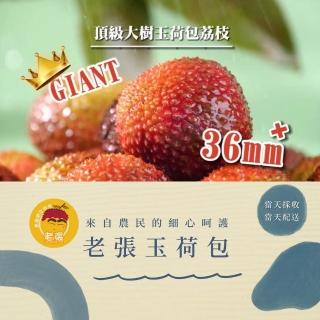 36MM+巨無霸玉荷包5斤禮盒