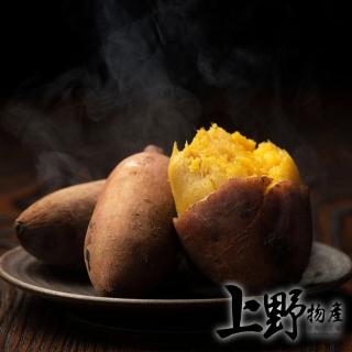 【中秋烤肉 上野物產】選用台農57號 冰烤地瓜 x15包(500g±10%/包 地瓜 番薯 甜點 素食 低卡 烤肉組 燒肉)