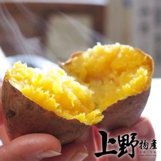 【中秋烤肉 上野物產】熟凍冰烤地瓜 x10包(500g土10%/包 烤番薯 地瓜 番薯 素食 低卡 烤肉組 燒肉)