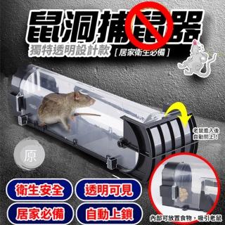 【原家良品】鼠洞式捕鼠器透明款 滅鼠神器全自動誘捕抓老鼠 3入組