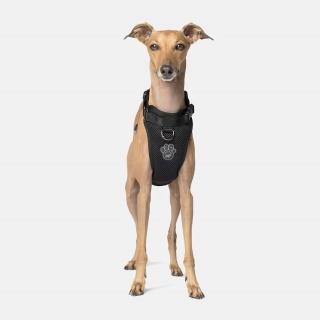 【CANADA POOCH】安全第一胸背帶單色-M(胸背帶/寵物配件/Everything Harness M)