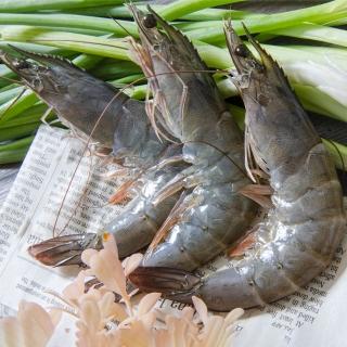 【低溫快配-鮮綠生活】無毒特大生凍白蝦后(600g±10%/盒 約16-18尾/盒 共1盒 -凍-中秋烤肉)