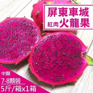 【產地直送】屏東車城紅肉火龍果5斤X1箱(7-8顆/箱)