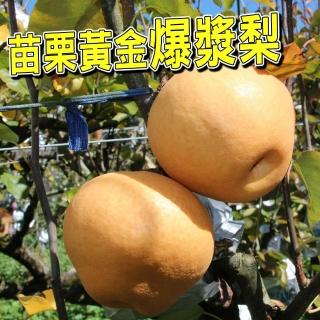 【台灣紅-中秋禮盒】黃金爆漿梨(六顆/5.5斤裝/禮盒)