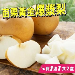 【台灣紅-中秋禮盒】黃金爆漿梨(六顆/5.5斤裝/禮盒*2盒)