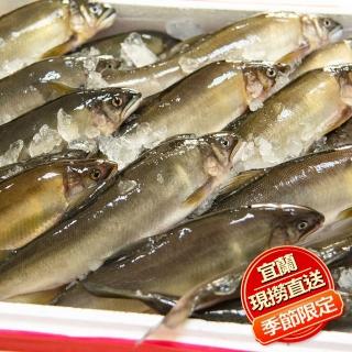 鮮綠生活-宜蘭香魚 21-23尾