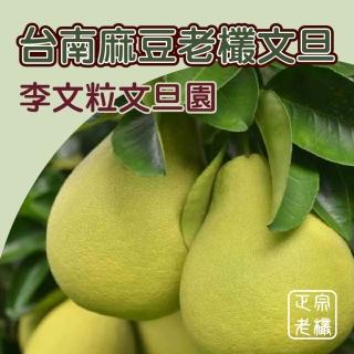 【黑貓嚴選】台南李文粒果園頂級文旦10斤/約6kg裝(10-14顆)