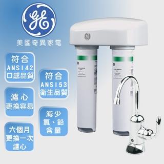 【GE 奇異】雙管飲用淨水器(GXSV65R)