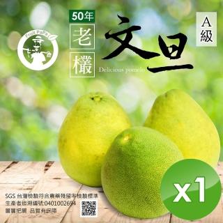 【預購 水果爸爸FruitPaPa-中秋禮盒】葫蘆墩50年老欉A級柚子文旦禮盒(10斤/箱x1箱)