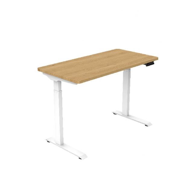 【樂歌Loctek】ET119 二節式電動升降桌 120*60 四段記憶(免費安裝/書桌/工作桌/居家辦公桌/電腦桌/站立桌)
