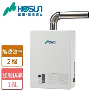 【豪山】全省安裝16L強制排氣FE式熱水器(H-1660FE)