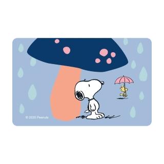 時雨 惠一 Momo購物網