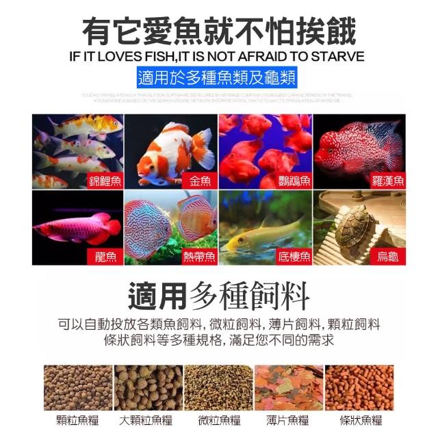 自動金魚 自動金魚