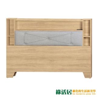 【綠活居】德普  現代5尺皮革雙人可收納床頭片(七色可選＋USB插座)