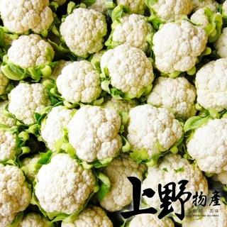 【上野物產】白花椰菜切塊 x2包(500g±10%/包 冷凍蔬菜)