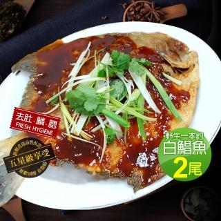 【優鮮配】野生一本釣白鯧魚2尾(約500g/尾)