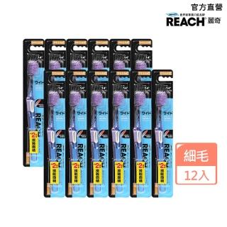 【麗奇】14°牙周對策牙刷12入箱購組(寬版極細毛顏色隨機出貨)