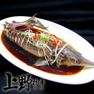 【上野物產】台灣產 南投名間溫養鱘龍魚全魚 x1隻(600g±10%/隻)