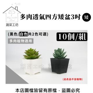 【蔬菜工坊】多肉透氣四方矮盆3吋-矮  10個/組(黑色.白色共2色可選)